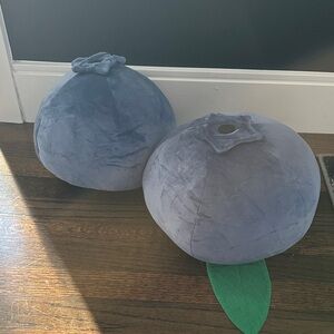 Plush Blueberry Pillows